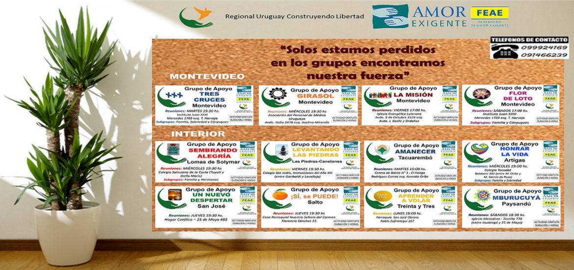 Grupos Amor Exigente Regional Uruguay Construyendo Libertad