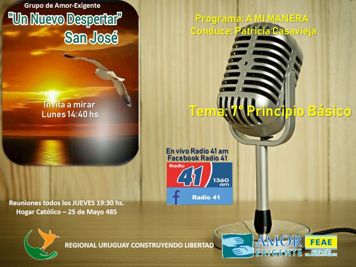 Grupo de Amor Exigente Un Nuevo Despertar San José y Programa A mi manera