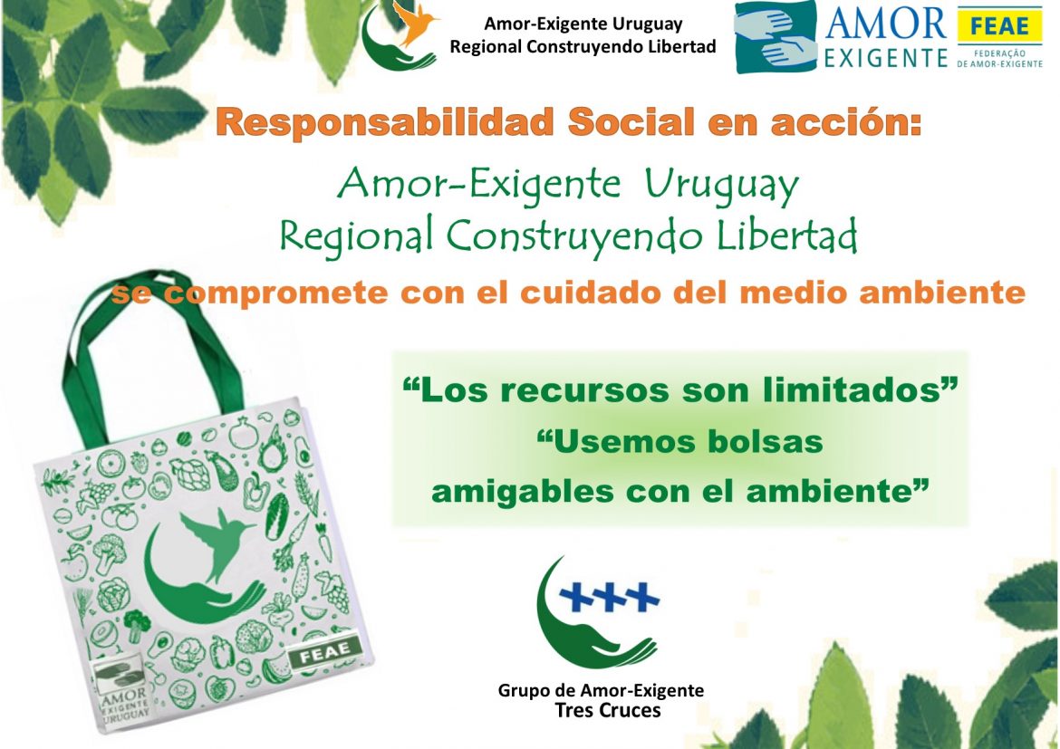 Responsabilidad Social en acción