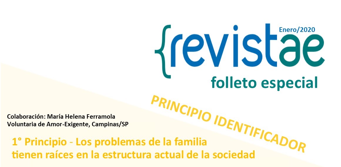 Encarte 1º Principio Básico-Identificador